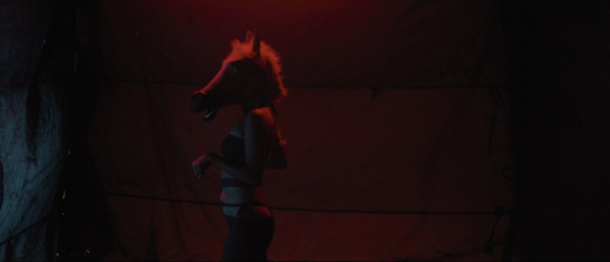 Boi Neon (2015), dir. Gabriel Mascaro